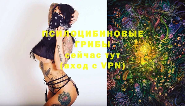 дурь Верея