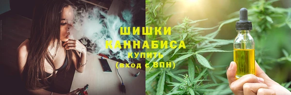 мдпв Бугульма