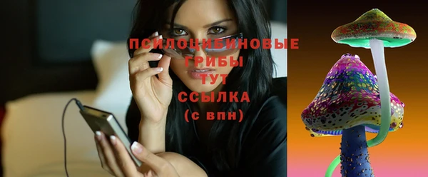 дурь Верея