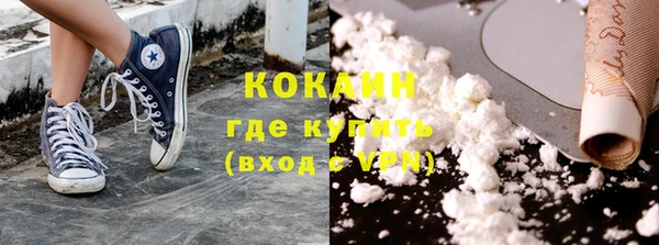 a pvp Бородино
