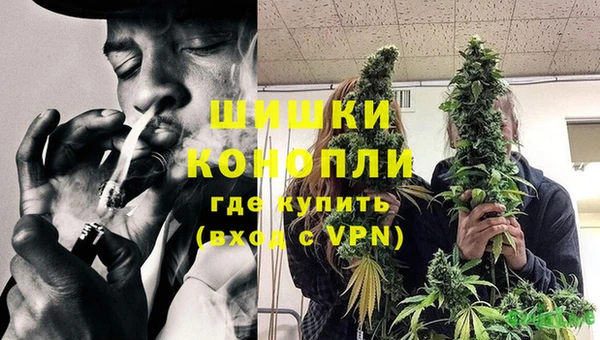 МДПВ Бикин