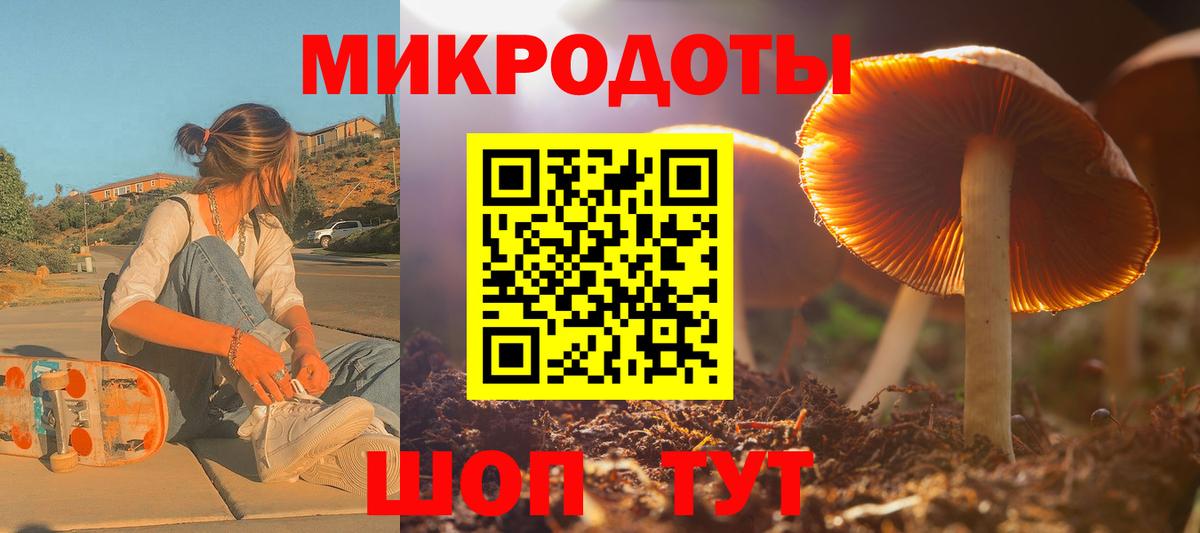 Видное  Галлюциногенные грибы Cubensis  Вход с VPN 